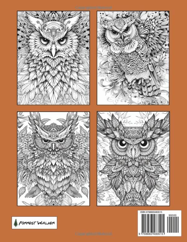 Owls: An Advanced Level Coloring Book for Teens and Adults: Featuring 100 Amazing Designs for Meditation and Relaxation Majosta