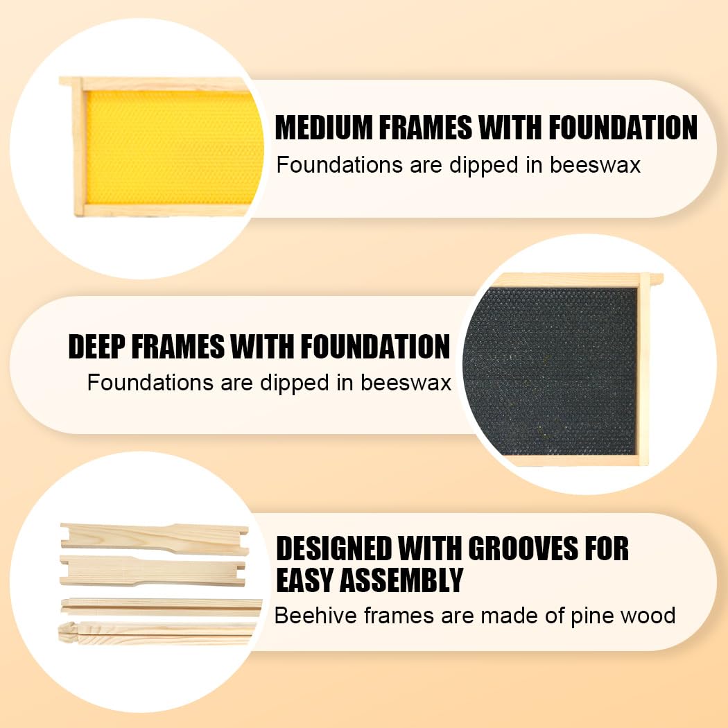 BEEINN 10 Frame Bee Hive, Compelte Bee Hive Starter Kit Includes 1 Deep Brood Honey Bee Hives Box, 1 Medium Super Bee Box with Beehive Frames and Foundation Sheets BEEINN