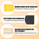 BEEINN 10 Frame Bee Hive, Compelte Bee Hive Starter Kit Includes 1 Deep Brood Honey Bee Hives Box, 1 Medium Super Bee Box with Beehive Frames and Foundation Sheets BEEINN