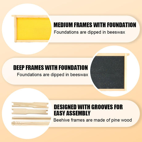 BEEINN 10 Frame Bee Hive, Compelte Bee Hive Starter Kit Includes 1 Deep Brood Honey Bee Hives Box, 1 Medium Super Bee Box with Beehive Frames and Foundation Sheets BEEINN