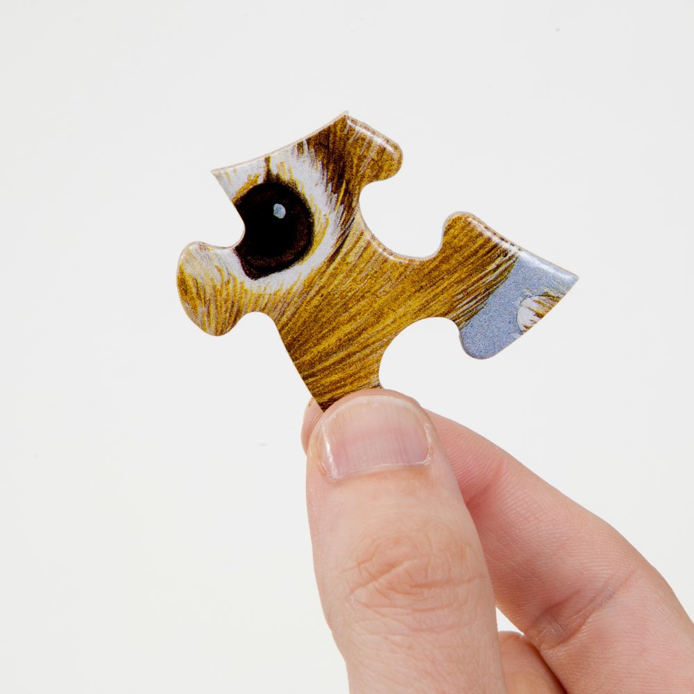 Bits and Pieces - 500 Piece Jigsaw Puzzle for Adults - ‘Lighthouse Park’ 500 pc Large Piece Sunset by The Ocean Jigsaw by Artist David Maclean - 18” x 24” Bits and Pieces