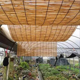 Reed Fencing Rolls for Balcony, Brown Bamboo Fence Reed Privacy Screen 1.6' 2' 3' 4' 5' 6' High Outdoor Patio Balcony Backyard Railing (Size : 3'H x16'L) YPINKZ