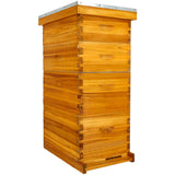 Honey Lake 8 Frame Bee Hive Dipped in 100% Beeswax, Langstroth Complete Beehives Starter Kit Includes 2 Deep Brood Box and 2 Medium Super Box with Beehive Frames and Waxed Foundation Sheet Honey Lake