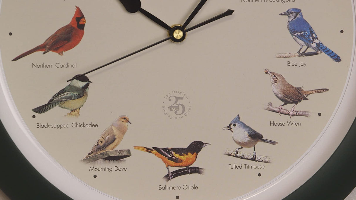 Mark Feldstein & Associates The Original Singing Bird Clock 25th Anniversary Edition, As Seen On TV (13 Inch, Matte Green) Mark Feldstein & Associates