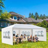 Outdoor Party Tent - Wedding & Birthday Event Tent with Removable Sidewalls & Transparent Windows (10'x20'/4 Sidewalls White) LBLWJD
