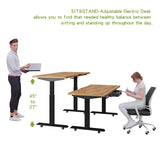 Radlove Dual Motors Height Adjustable 63 x 30'' Electric Standing Desk with Drawer Stand Up Table 4 Memory Keys, Computer Desk with Splice Board Home Office Desk, Brown Top + Black Frame Radlove
