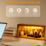 Jettiplex Dog Memorial Shadow Box - Pet Loss Gift with Paw Print Kit, Sympathy Keepsake for Rainbow Bridge, Display Case for Dog Urns(Special 10-inch) Jettiplex