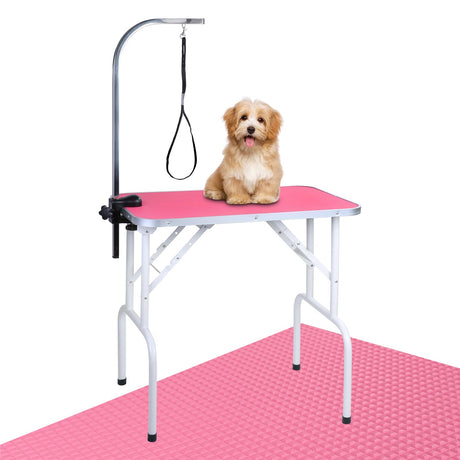 LEIBOU Pet Dog Grooming Table Foldable Grooming Table Heavy Duty Iron Frame with Arm & Noose for Dog Cat Pet Grooming (32'', Pink) LEIBOU