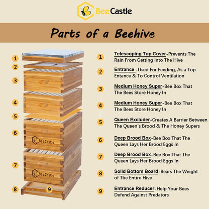 BeeCastle 8 Frame Langstroth Bee Hive Coated with 100% Beeswax Includes Beehive Frames and Waxed Foundations (2 Deep Boxes & 2 Medium Boxes)