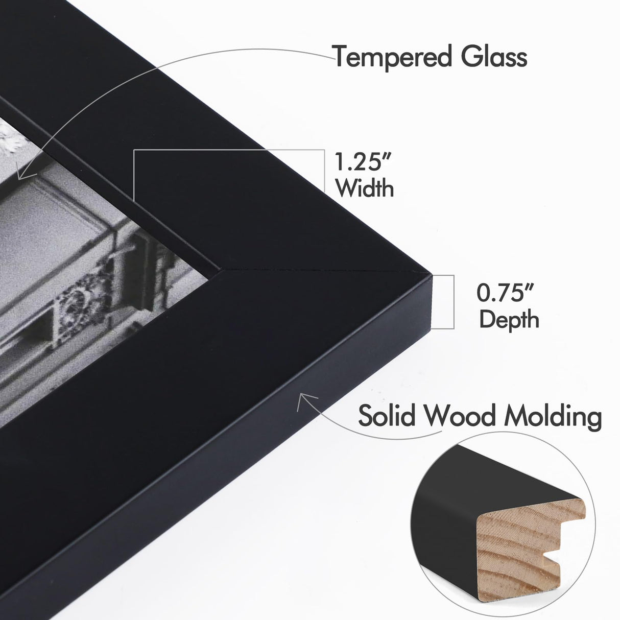 Golden State Art 16x20 Wood Picture Frame with Real Glass and 1.25'' Wide (Black) Golden State Art