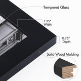 Golden State Art 16x20 Wood Picture Frame with Real Glass and 1.25'' Wide (Black) Golden State Art