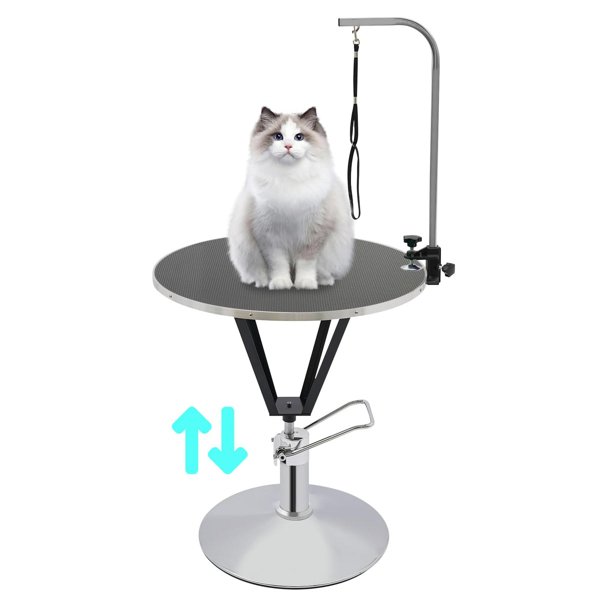 LUNUMAOS Hydraulic Pet Grooming Table with Adjustable Arms, 360 Degree Table Top Swivel Maximum Load 220 lbs Professional Pet Grooming Table, 34in Hydraulic (Black,Round) LUNUMAOS