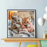 ZQEATRY 5d Diamond Painting Kits for Adults Beginners,Cute Animal Cat Diamond Art Kits for Adults,DIY 5D Full Round Drill Paint by Diamonds Dots, Home Wall Decor 12 x 12 Inch ZQEATRY