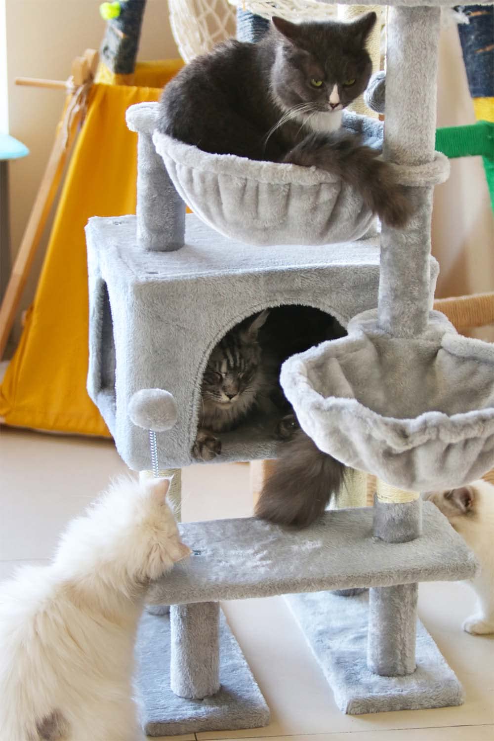 KIYUMI Cat Tree Cat Tower Condo with Sisal Scratching Post for Indoor Cats Cat Tree Cat Furniture with Hammock Perch and Kitten Ball Toys, Multi-Level Pet Activity Center Grey KIYUMI