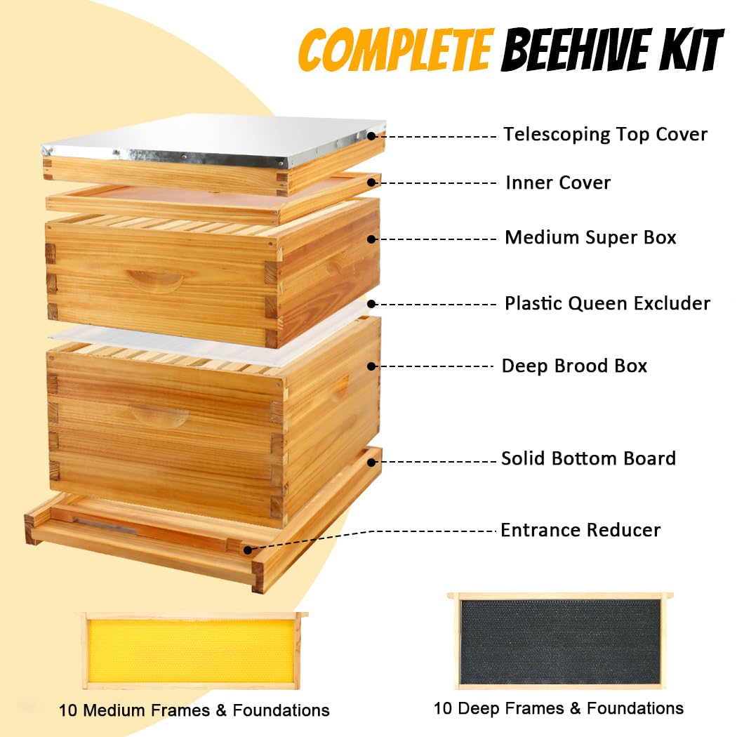 Honey Lake 10 Frame Bee Hive Starter Kit, Complete Beehive Kit for Beekeepers Dipped in 100% Beeswax Includes 1 Deep Brood Box & 1 Medium Super Bee Box with Beehive Frames and Waxed Foundation Sheet Honey Lake