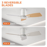 TALOYA 42inch Ceiling Fans with Lights and Remote Control, Quiet DC Motor, Double-faced Blades, Modern Low Profile Ceiling Fan for Bedroom, Living Room, Dining Room, Office TALOYA