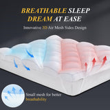 DOWNCOOL 3 Inch Queen Mattress Topper, Ultra Thick and Fluffy Supportive Memory Foam Mattress Topper for Body Pain, Mattress Pad with Breathable Mesh Design for Deep Sleep, 80x60x3 Inches DOWNCOOL