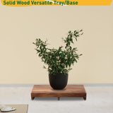 Wooden Step Platform 3.8" Height, Outdoor Steps with Non-Skip Pads for Seniors, Acacia Wood Step Stools for Adults, Stool for Bed, Bathroom, Kitchen, Garden, Stair Assist (No Assembly Required) Buruis