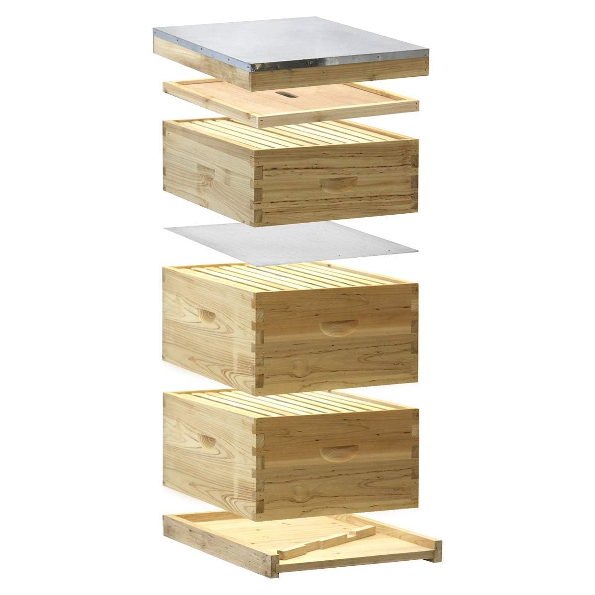 NuBee Starter 10 Frame Beehive Kit - Includes 2 Hive Bodies, 1 Super Box, Pine Frames, Wax Coated Foundations and More NuBee Hive