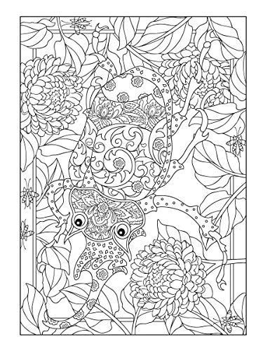 Creative Haven Incredible Insect Designs Coloring Book: Creative Haven Incredible Insect Designs Coloring Book (Adult Coloring Books: Insects) Dover Publications