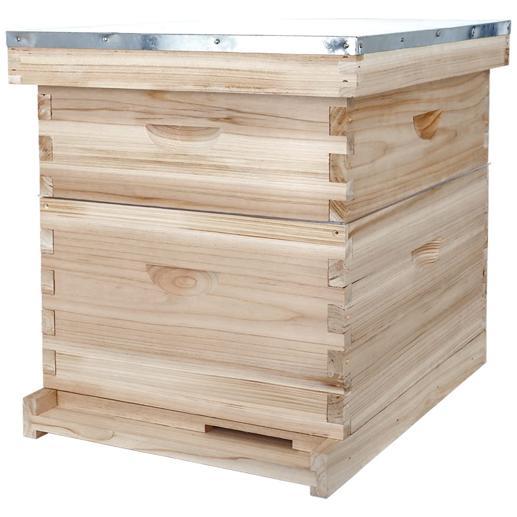 BeeCastle 10 Frame Langstroth Bee Hive, Beehive Starter Kit for Beginners with Beehive Frames and Waxed Foundation (1 Deep Box & 1 Medium Box) BeeCastle