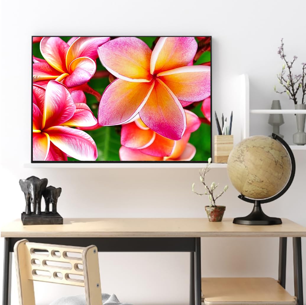 Diamond Art Painting Hawaiian Frangipani Hawaii Plumeria Blooming Flowers Kit for Adults Full Round Drill Diamond Art Painting by Number Kits Gem Art Wall Home Decor(11.8 x15.8inch) Generic
