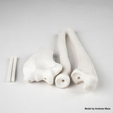 Siraya Tech Sculpt High-Temp Resistant 3D Printer Resin - Up to 250C, High Precision, Compatible with 8K DLP/LCD Printers for Engineering, Jewelry, & Industrial Applications (Ultra White, 1kg) Siraya Tech