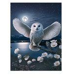 Owl Diamond Painting Kit for Adults - Night 5D Diamond Art Kit, Full Diamond Painting, Gemstone Arts and Crafts for Beginners Kids Home Wall Decor 8x12 inches Champi