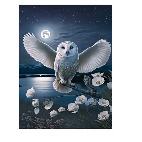 Owl Diamond Painting Kit for Adults - Night 5D Diamond Art Kit, Full Diamond Painting, Gemstone Arts and Crafts for Beginners Kids Home Wall Decor 8x12 inches Champi