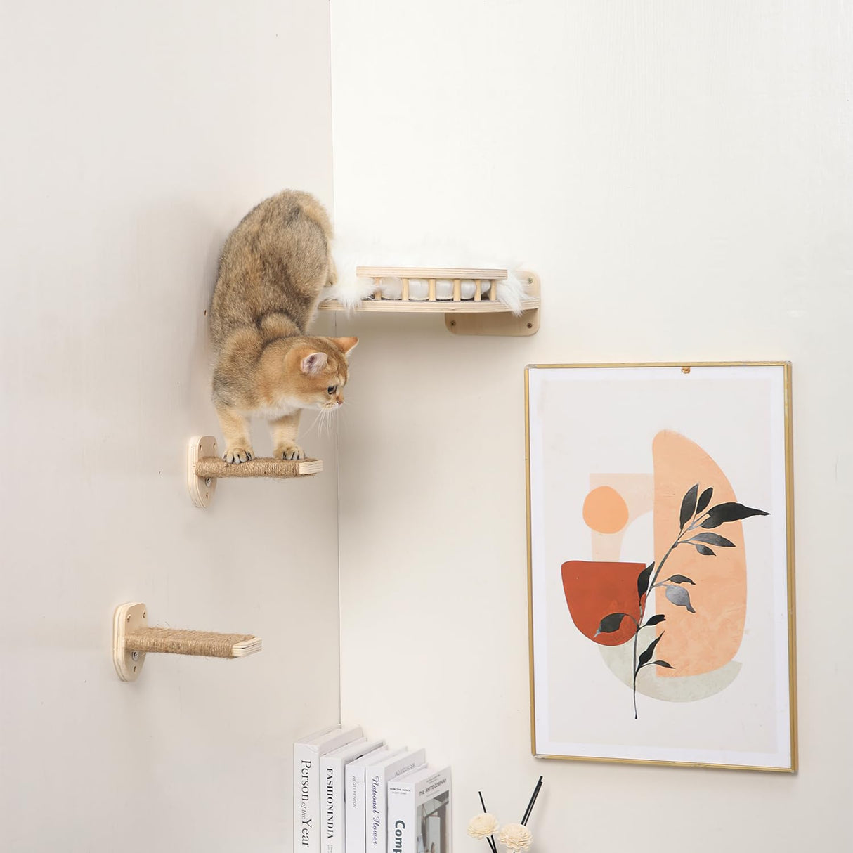 COOLEX Cat Wall Shelves - 3 Steps Scratch Post & Hammock Bed with Plush Cover, Climbing Shelf for Indoor Cats (Wood) COOLEX