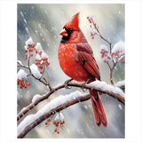 Red Cardinal Paint by Numbers Kit for Adults - DIY Bird Painting on Canvas, Adults' Paint-by-Number Kits Acrylic Paint Set for Beginners, Wildlife Art Kit for Home Decoration or Gifts (12X16IN Framed) DecorFriday