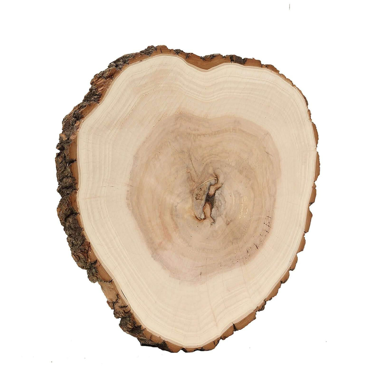 Efavormart 15"~18" | Rustic Natural Wood Slices Round Poplar Wooden Slab Table Centerpiece Efavormart.com