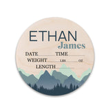 Birth Stat Sign Personalized for Newborn Baby, Ethan James Design, Crib & Nursery Decor, Photography Prop, Baby Shower Gifts, Gender Reveal, Hickory Hollow Designs