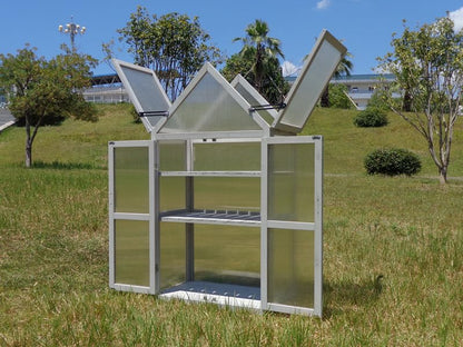 Mini Greenhouse Kit Outdoor, Upgrade Small Green House with Adjustable Shelving, Wood Cold Frame, Plant Stand Cabinet for Indoors Garden Patio