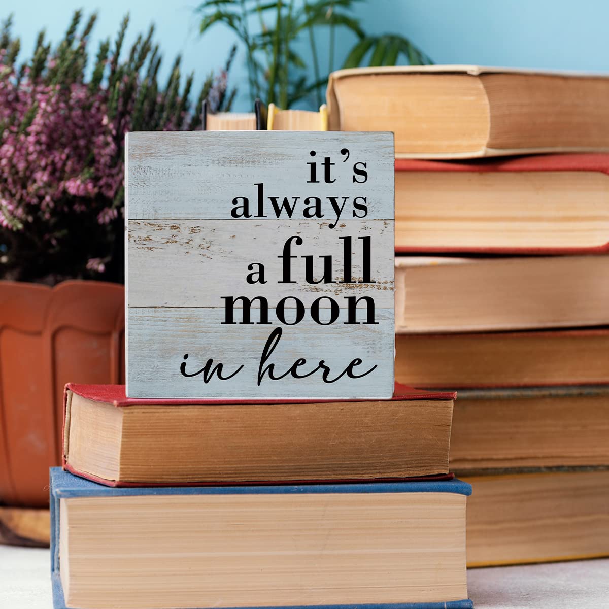 Funny Bathroom Sign Bathroom Decor Desk Decor Wooden Box Sign Rustic Wood Block Plaque Box Sign for Home Farmhouse Office Restroom Toilet Shelf Table Decoration It's Always a Full Moon in Her - WoodArtSupply