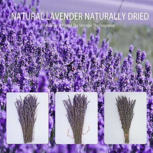 Dried Lavender Bundles, Uieke Natural Dried Lavender Flowers 280-300 Stems 16“ for Home Weeding Decoration Flower Arrangements Home Fragrance 2 Bundles Uieke