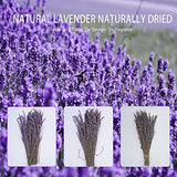 Dried Lavender Bundles, Uieke Natural Dried Lavender Flowers 280-300 Stems 16“ for Home Weeding Decoration Flower Arrangements Home Fragrance 2 Bundles Uieke