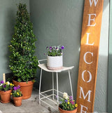 Welcomes signs Native Range