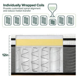 ZINUS 12 Inch True Support Hybrid Mattress [New Version], King, Fiberglass Free, Medium Feel, Motion Isolation, Certified Safe Foams & Fabric, Mattress in A Box Zinus