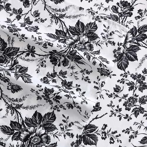 Betsey Johnson - Queen Bed Sheets, Soft & Lightweight Bedding, Fade & Wrinkle Resistant (Betseys Toile Black, Queen) Betsey Johnson