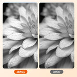 Abfray Remanufactured Ink Cartridge Replacement for Canon 245XL for PIXMA MG2420 MG2520 MG2522 MG2525 MG2920 MG2922 MG2924 MG3020 MG3022 MG3029 TR4520 TR4522 TS3120 TS202 Printer (Black 2 Pack) Abfray