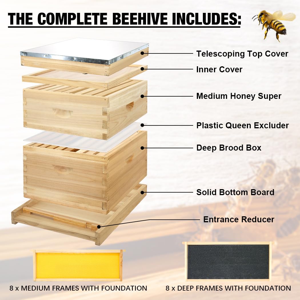 BEEINN 8 Frame Bee Hive, Compelte Bee Hive Starter Kit Includes 1 Deep Brood Honey Bee Hives Box, 1 Medium Super Bee Box with Beehive Frames and Foundation Sheets - WoodArtSupply