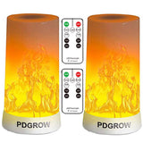 PDGROW LED Flame Lights with Remote Timer, Flame Lamp 4 Modes USB Rechargeable Fire Lights Indoor Campfire Outdoor Decorative Lantern Hanging Lamps Fireplace Romantic Light for Home Party Camping Bar PDGROW