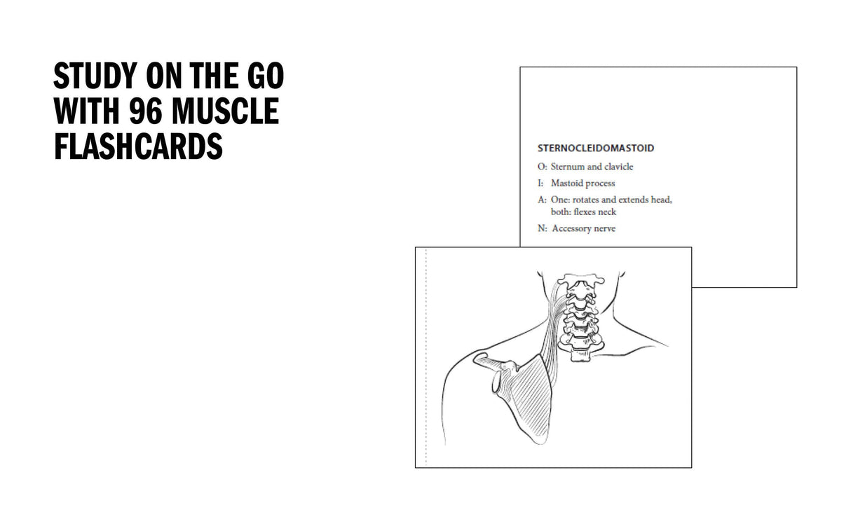 Anatomy Coloring Book with 450+ Realistic Medical Illustrations with Quizzes for Each (Kaplan Test Prep) WoodArtSupply