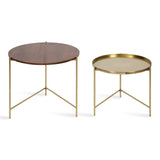 Kate and Laurel Ulani Modern Nesting Coffee Table, Set of 2, Walnut and Gold, 22.5 x 20.25, Decorative Sophisticated Mango Wood and Metal End Tables for Display and Storage Kate and Laurel