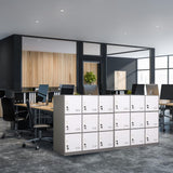 iCHENGGD Metal Locker 9 Door Storage Cabinet, Steel Storage Lockers for Employees, with Lock and Ventilation, Office School Gym Use (Grey) iCHENGGD