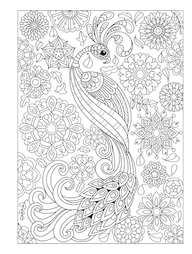 Creative Haven Fanciful Birds Coloring Book (Adult Coloring Books: Animals) Dover Publications