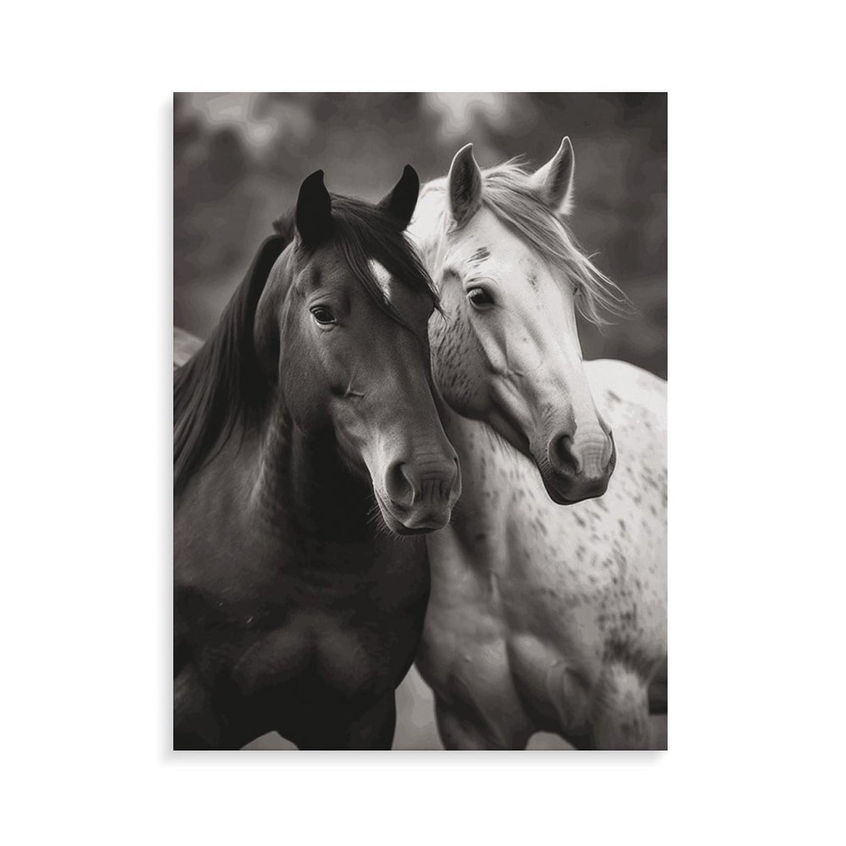 TKJMCSW Black and White Horses Paint by Numbers Kit for Adults Beginners Adult Paint by Number Kits on Canvas DIY Acrylic Oil Paints Paintwork with Paintbrushes for Gift Home Wall Decor 12x16inch TKJMCSW