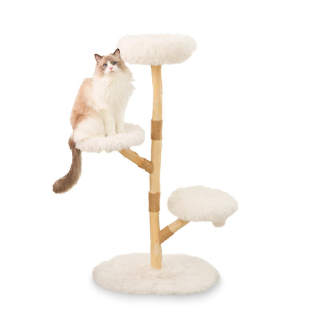 Modern Cat Tree Tower – Real Wood Aesthetic Cat Tree with Sisal Posts and Cushioned Platforms – 48” Boho Wooden Design for Indoor PATHOSIO PETS