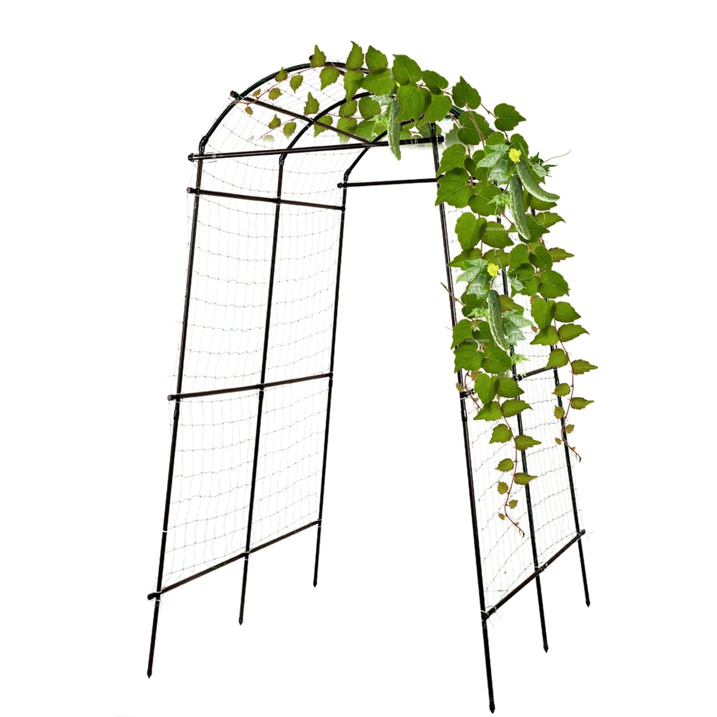 Yotoworth Garden Arch Trellis for Climbing Plants Outdoor, 7 ft Tall Walkway Arbor Tunnel for Vegetables, Squash, Melons, Zucchini, Cucumber Trellis for Garden Raised Bed, Lightweight, Black